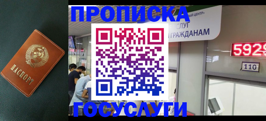 прописка гарантия в Туле